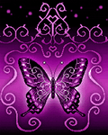 pic for Butterfly Violet